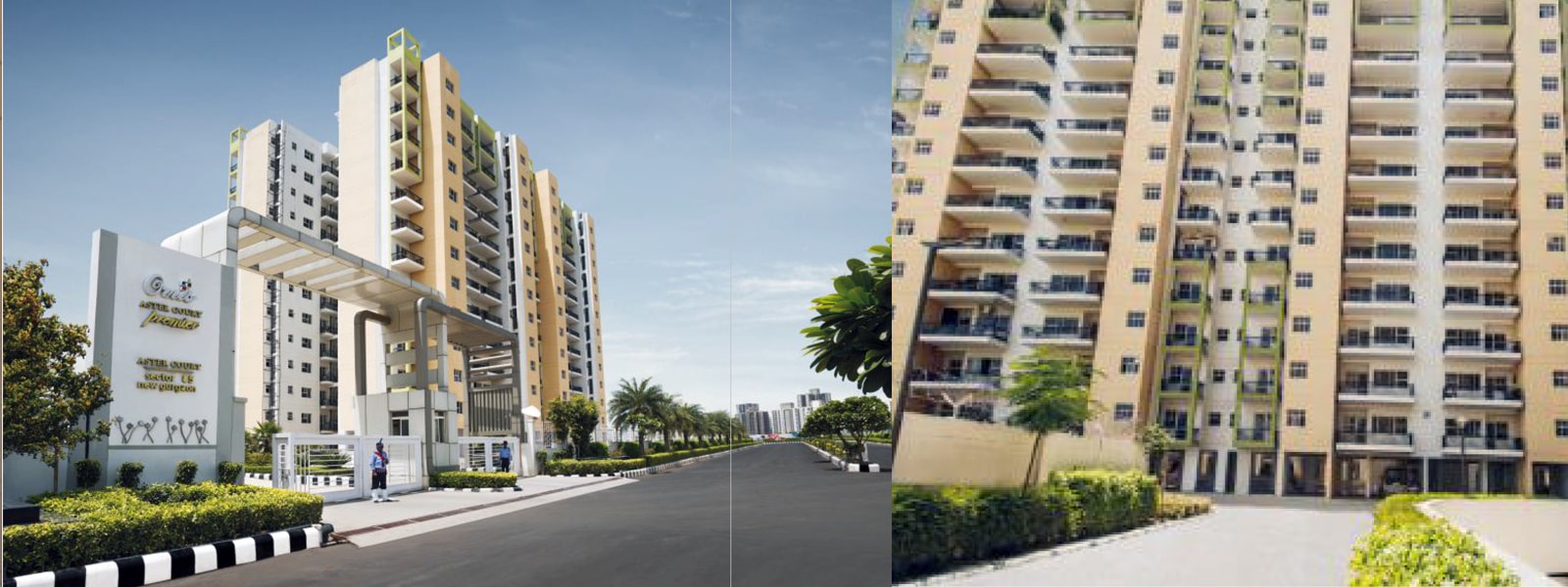 Aster Court Premier 4